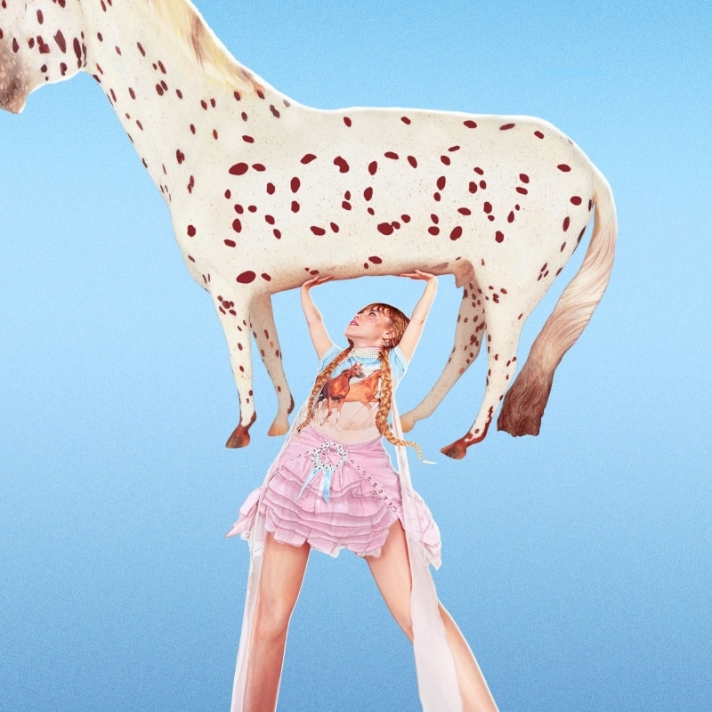 Dianka er en stilig hest i den pompøse 'ROCÍN'