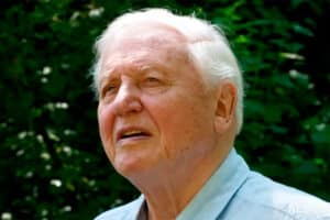 Sigur Rós y Bastille actuarán en el centenario de David Attenborough