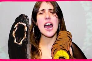 Estrenamos el videoclip de “La Primavera” de Chulería, Joder!